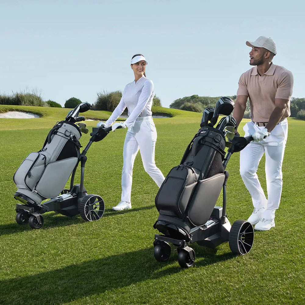 NAVEE Birdie Electric Golf Buggy